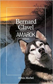 Amarok